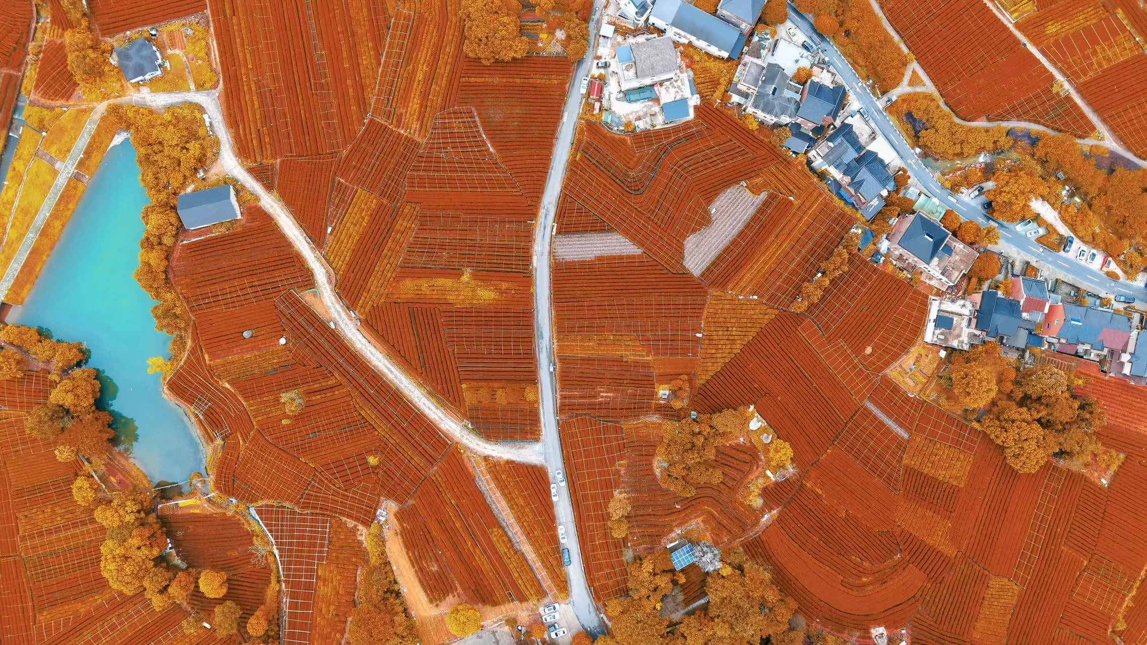 An aerial view of rust-colored fields, roads, homes and a turquoise pond