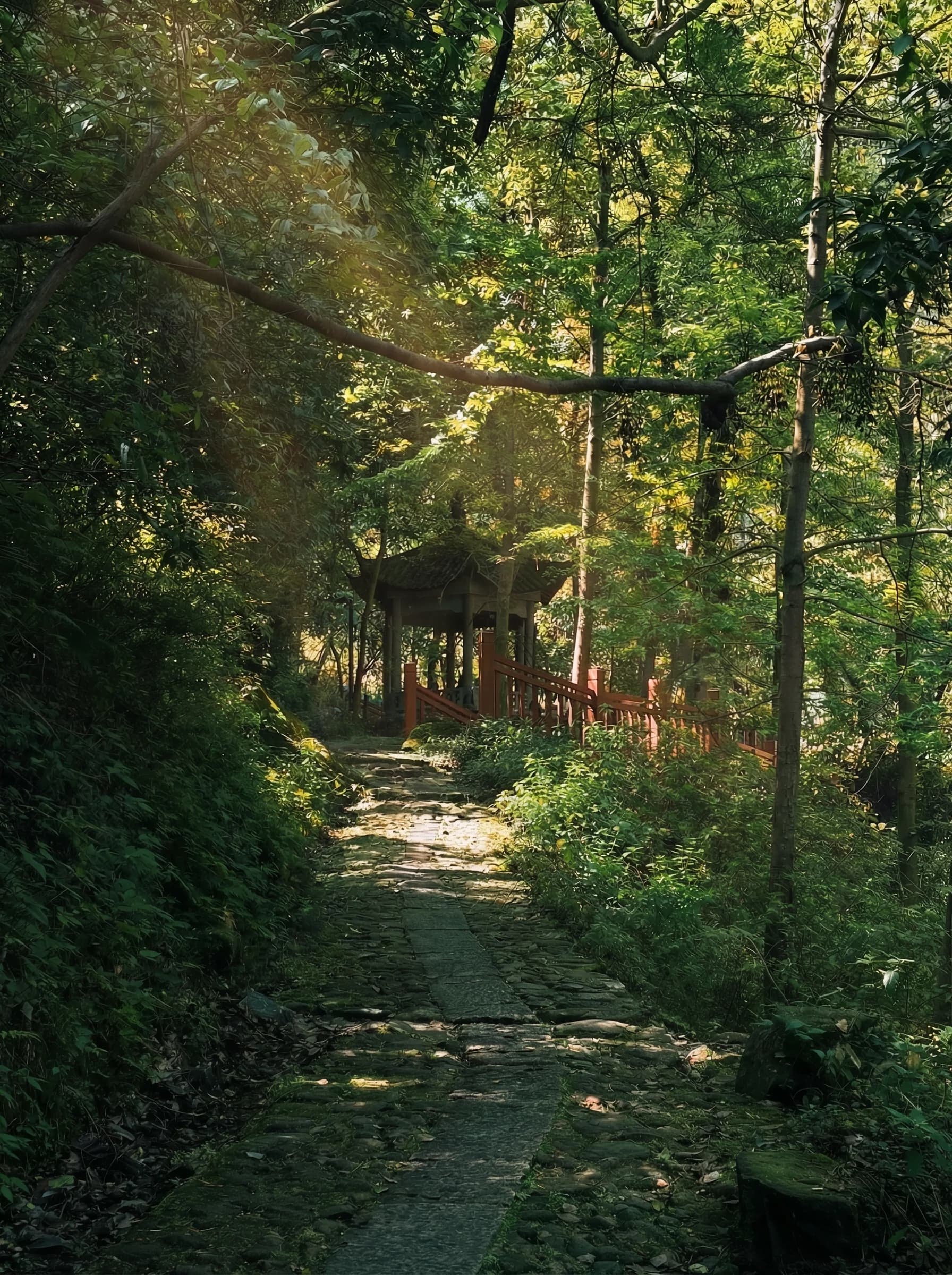 A stone path leads through a sunlit forest toward a small pavilion