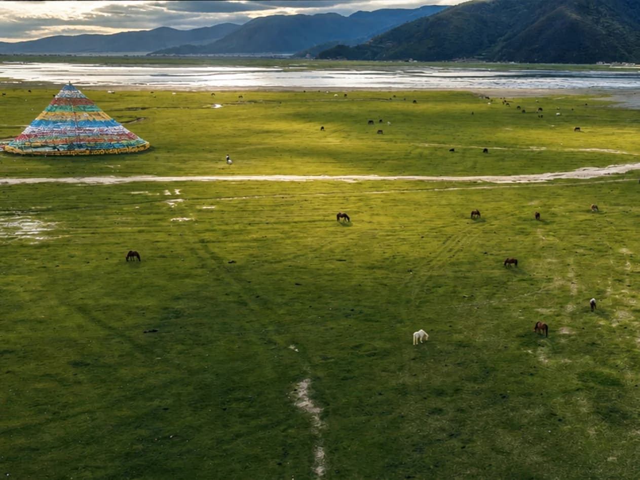 Horses graze across a broad green grassland beneath mountains